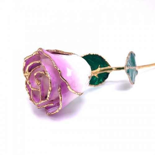 24K Gold Dipped Cream Picasso Rose